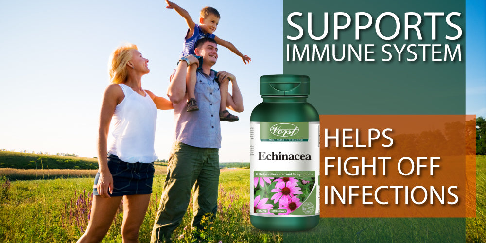 Benefits of Echinacea 400mg - Vorst Supplements and Vitamins