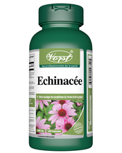 Load image into Gallery viewer, Echinacea for Immune Support