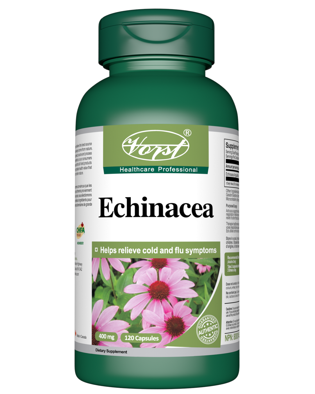 Echinacea for Immune Support