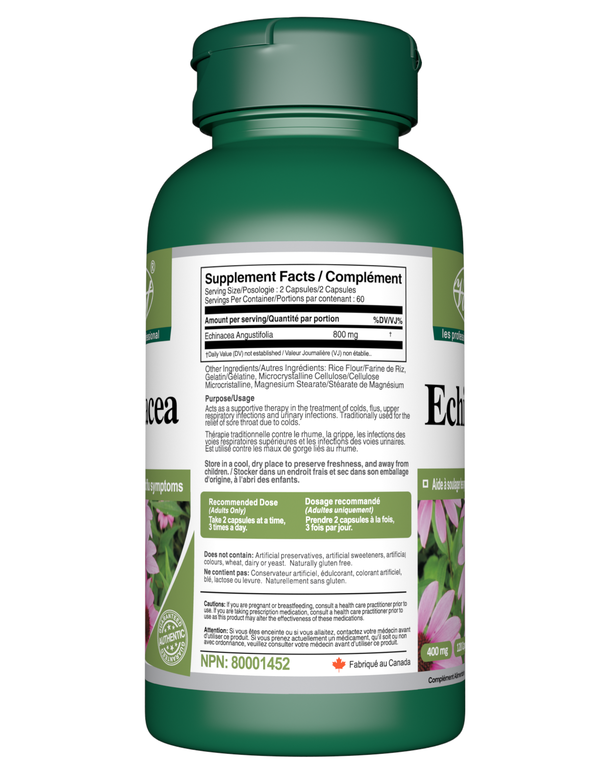 Echinacea for Immune Support