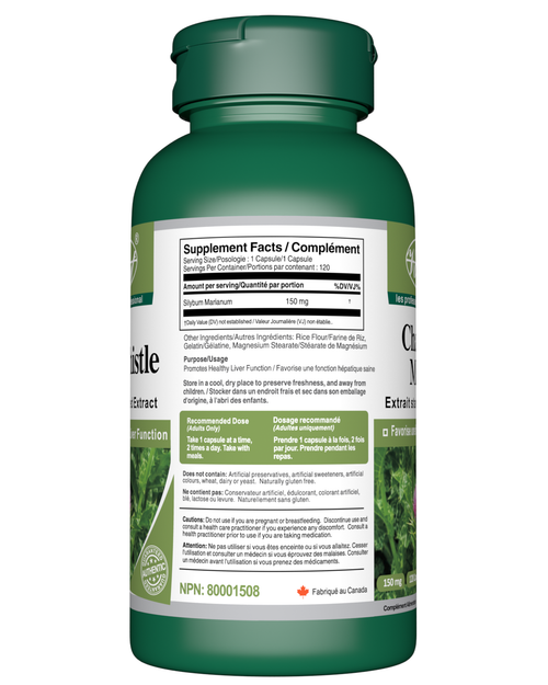 Milk Thistle Promotes Liver Health and Detox