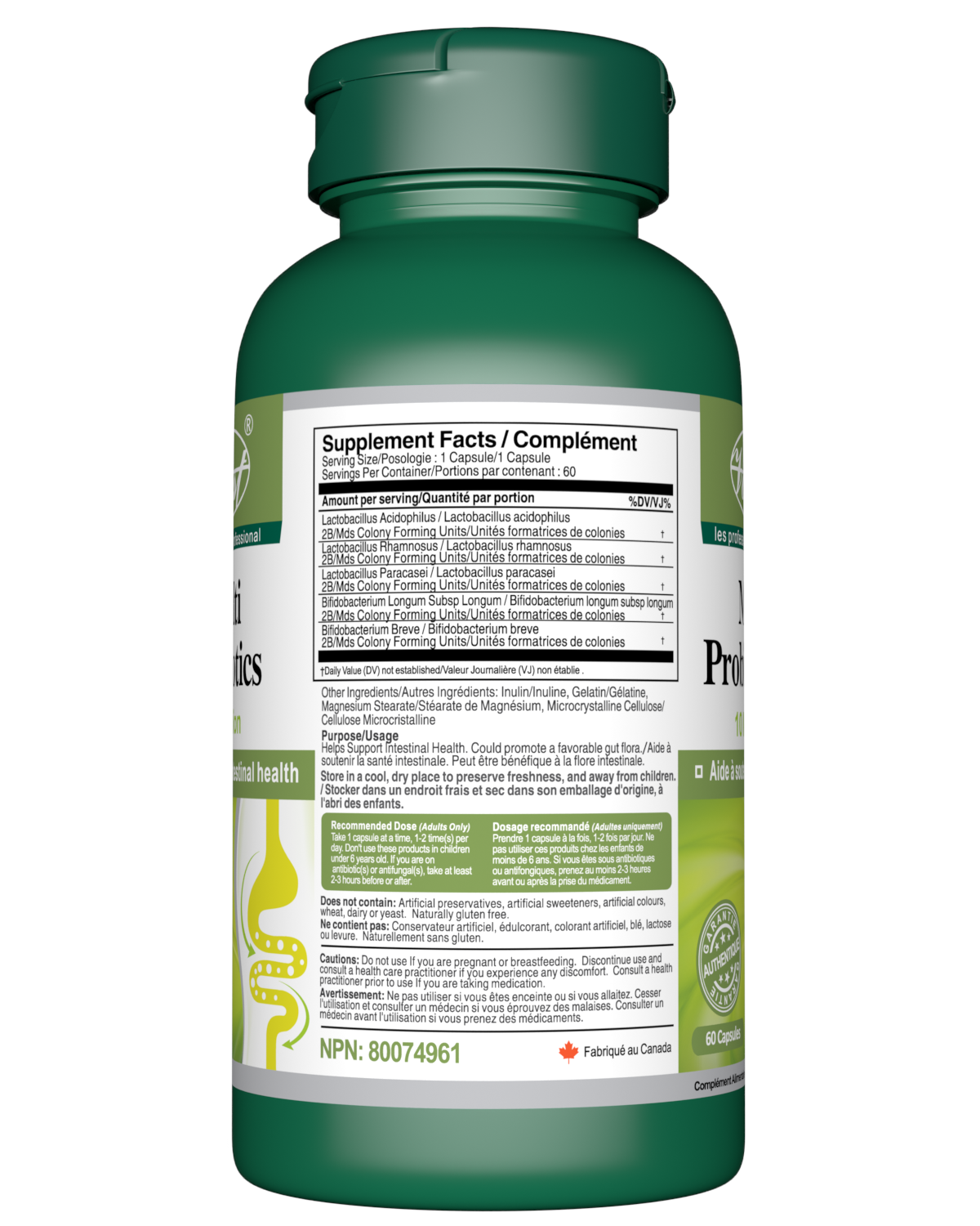 Multi Probiotic (10 Billion) for Gut Health, Intestinal Health