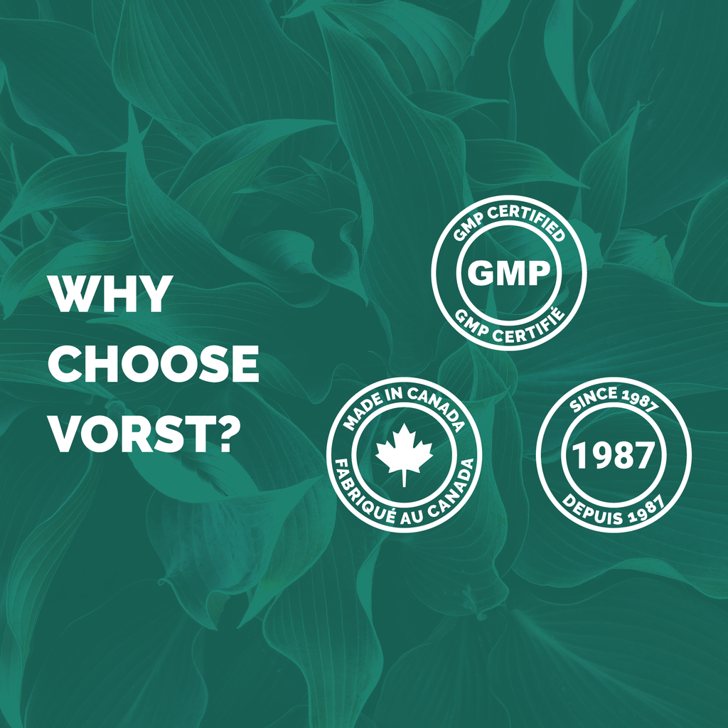 Seal Oil Source of Omega-3 Fatty Acid