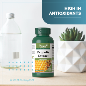 Bee Propolis Extract 500mg for Antioxidants